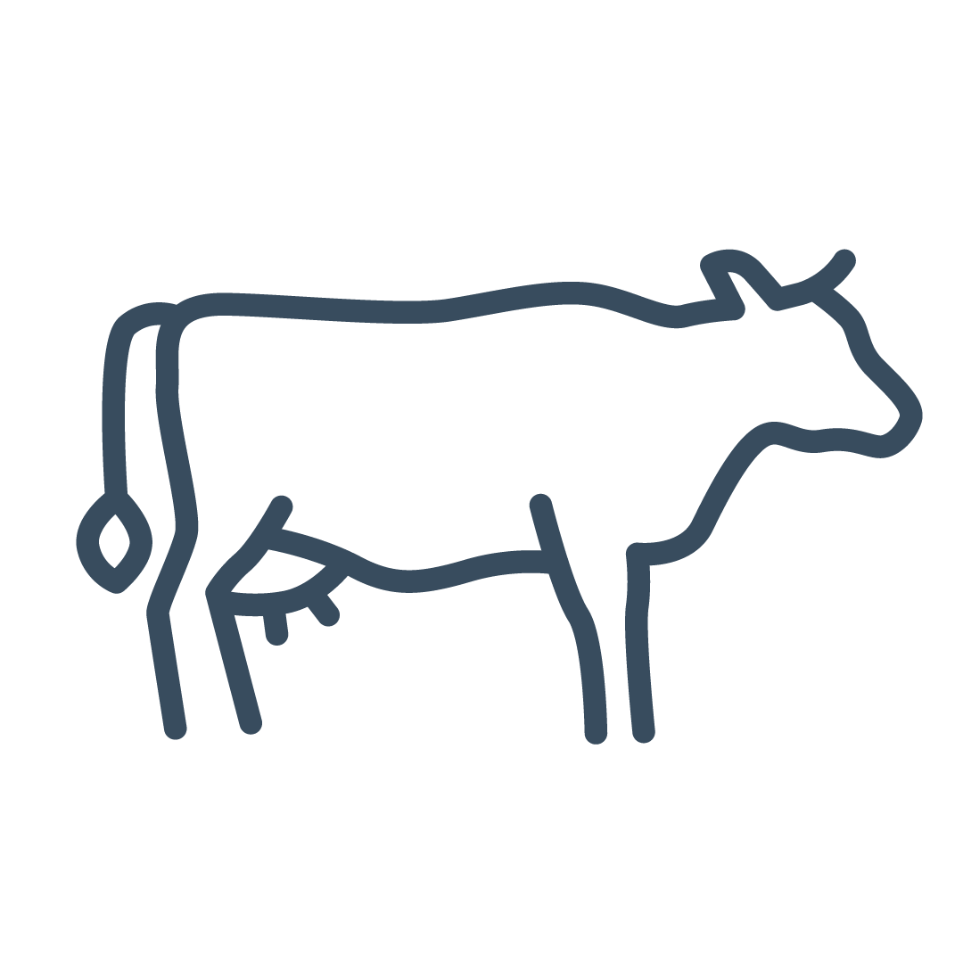 Cow Icon