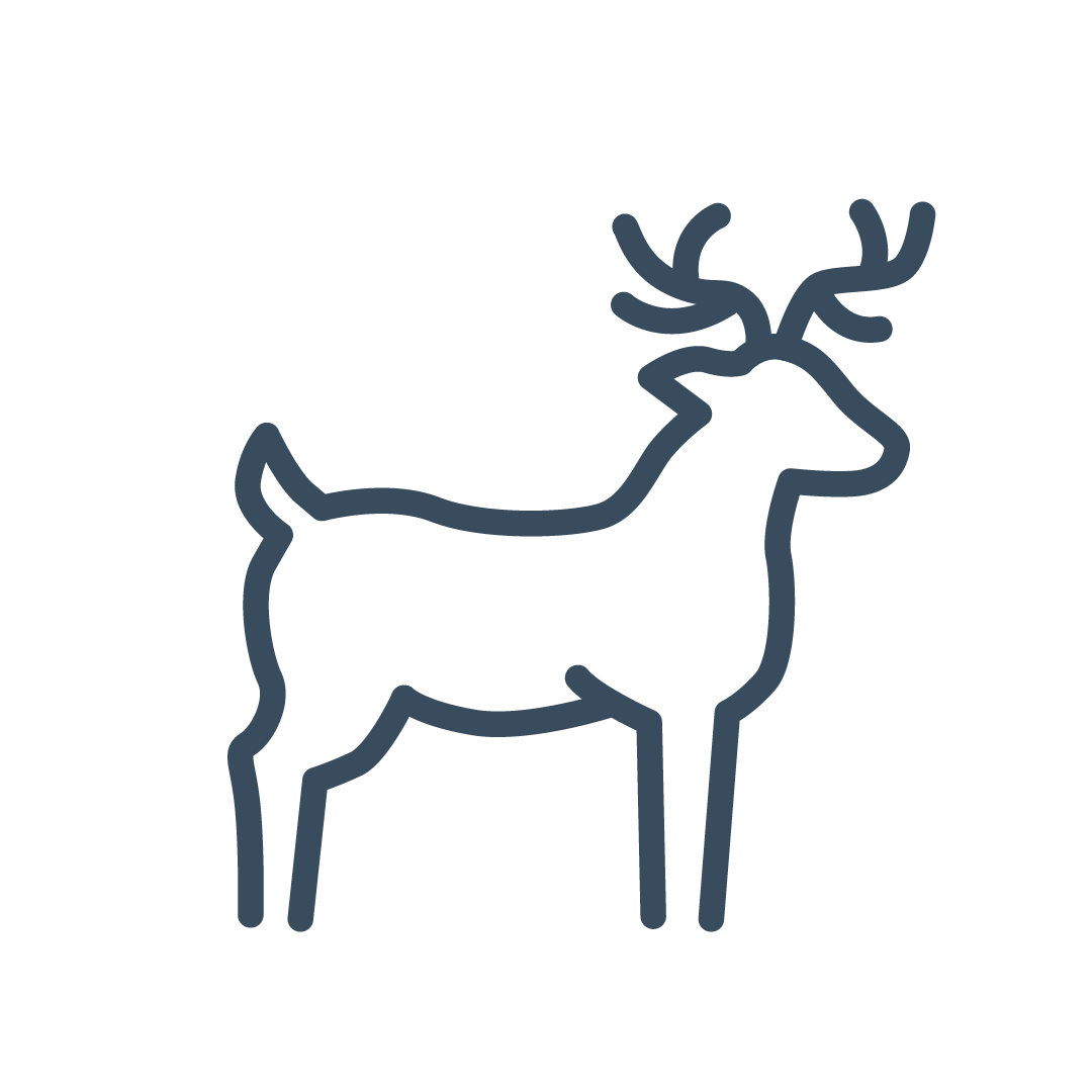 Deer Icon