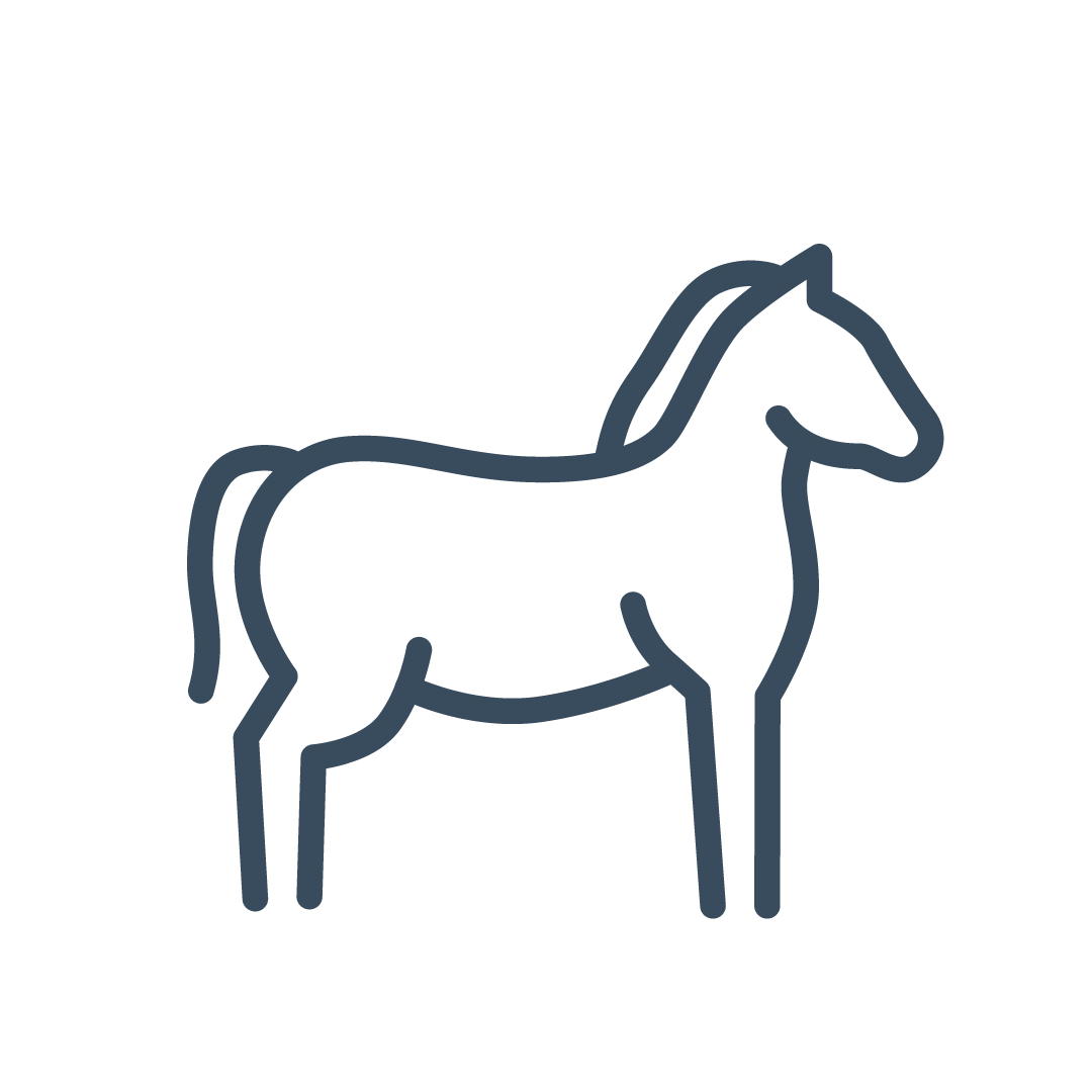 Horse Icon