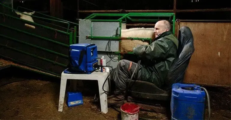 Oviscan Machine being used by a sheep farmer