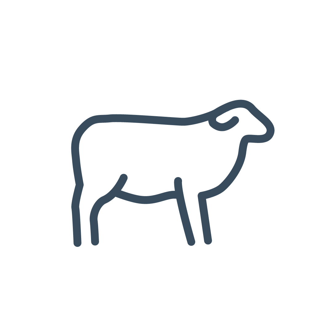 Sheep Icon