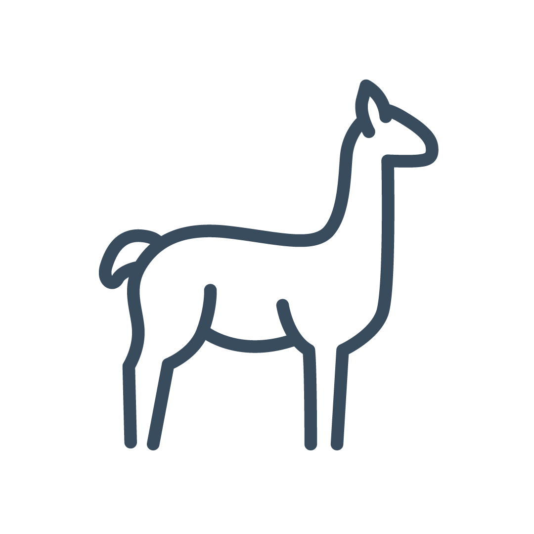 Alpaca Icon