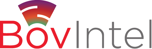 BonvIntel Icon
